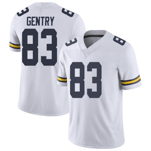 Zach Gentry Michigan Wolverines Youth NCAA #83 White Limited Brand Jordan College Stitched Football Jersey EXA4654KC